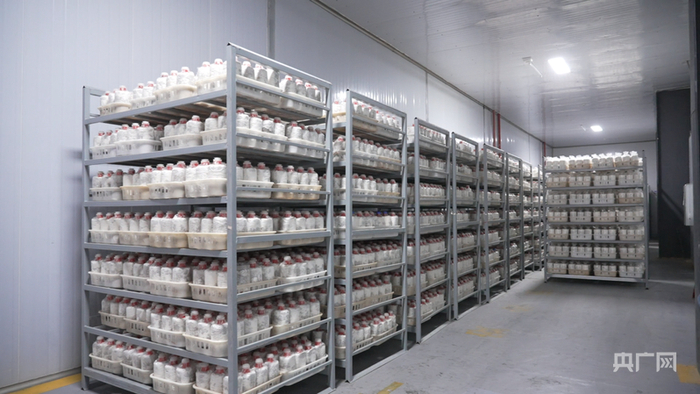 菌種實(shí)驗室里的菌棒（央廣網(wǎng)記者 付美斌 攝）