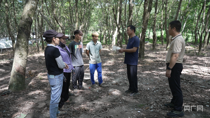 技術(shù)員李學(xué)軍（右二）向村民介紹虎乳靈芝的種植方法（央廣網(wǎng)記者 付美斌 攝）