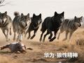 郭平解读华为“狼的精神”：有三层含义