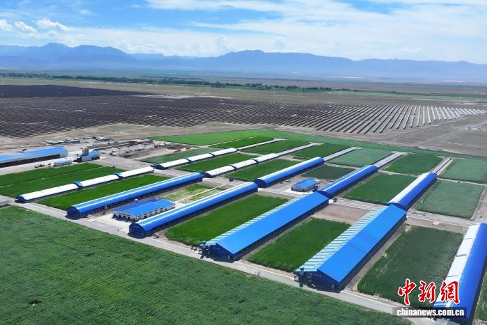 　　8月31日，航拍下的华瑞农业五万只肉羊数字化育繁推一体化示范园。　民乐县委宣传部供图