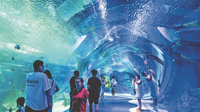 燃情之冬交響清涼一夏