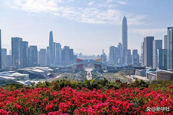 从深圳莲花山山顶俯瞰城市中轴线（2025年1月29日摄）。新华社记者 梁旭 摄