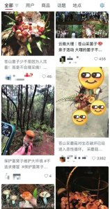 网友在社交平台分享的采菌子经历。 网络截图