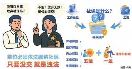 制图 何玙