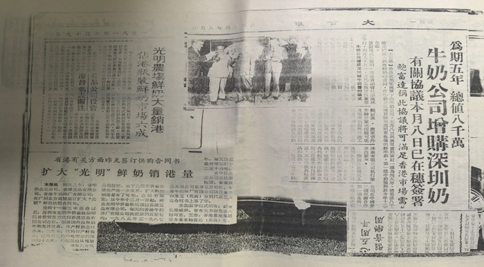 大公报、香港商报，1981 年6 月19 日报导光明农场鲜奶供港情况。