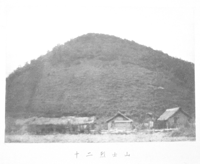 十二烈士山全景