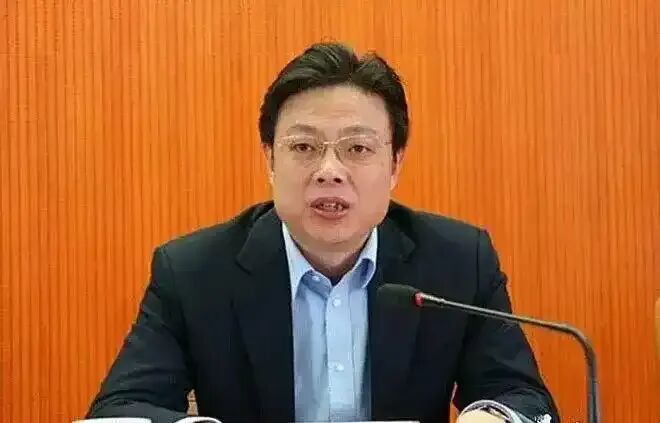 杨国强 中国山东网 图