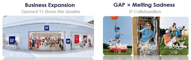 截图来源于公司财报
