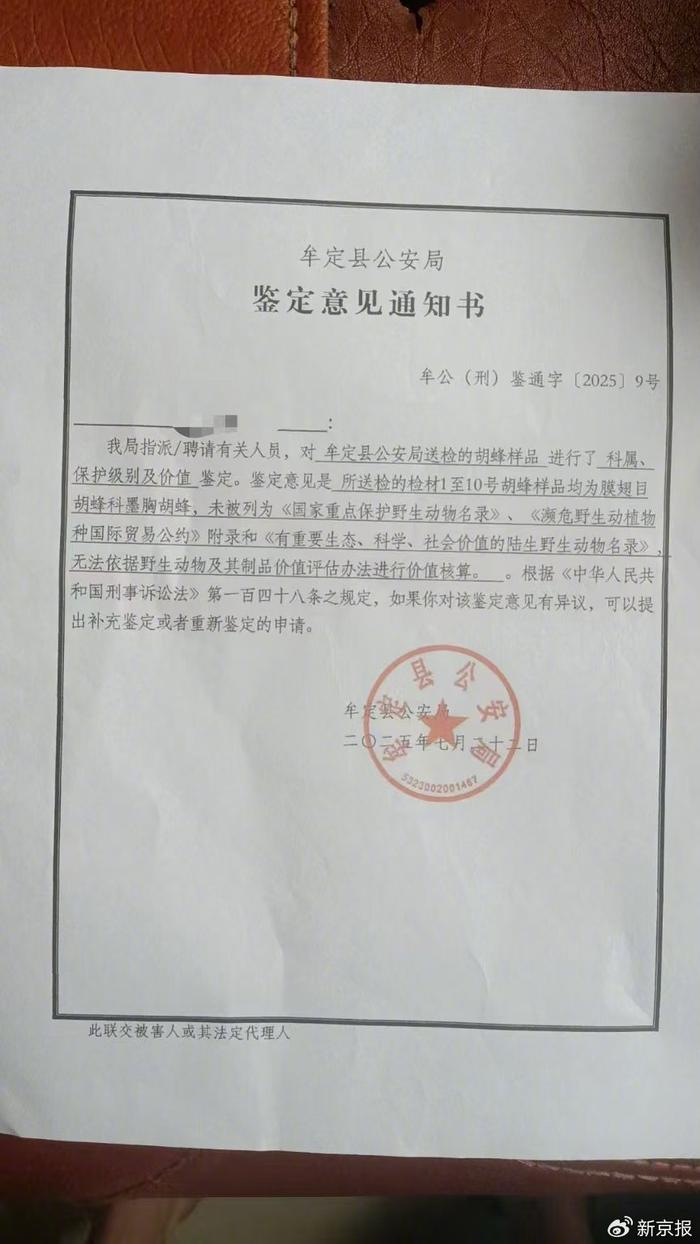 事发后,当地警方出具的胡蜂鉴定意见。