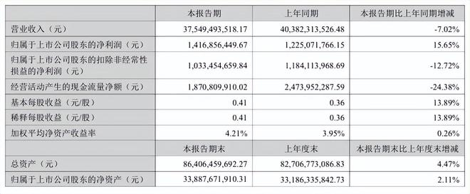 图片来源：2025年半年度报告