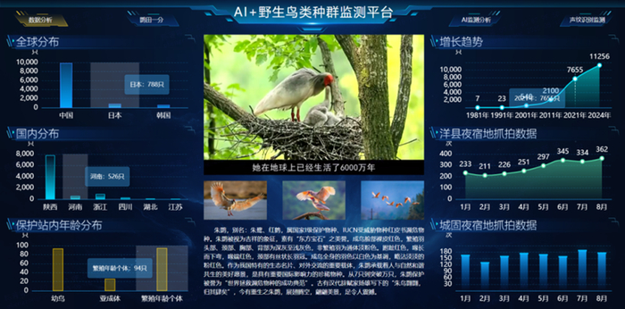 AI+野生鳥(niǎo)類(lèi)種群監(jiān)測(cè)平臺(tái)
