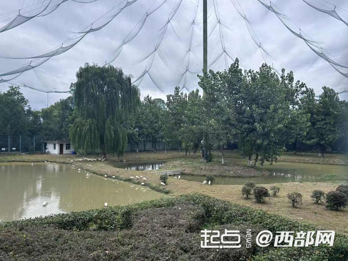 洋縣朱鹮保護(hù)基地