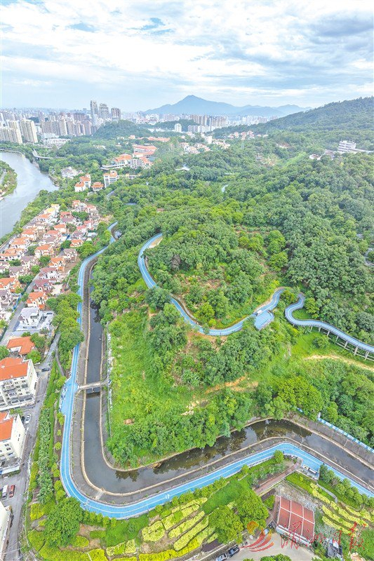 　　图③：蜿蜒山头的路线，成为连接城市与山林的诗意通道。全媒体记者 蔡昊 摄