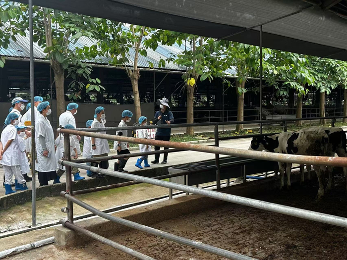 小游客參觀(guān)牛舍（央廣網(wǎng)發(fā) 受訪(fǎng)者供圖）