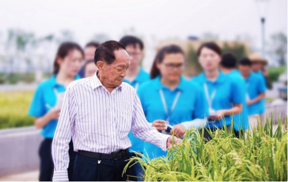 2017年，袁老在青岛李沧白泥地公园调研