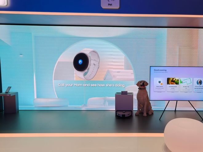 图片来源：雷科技 IFA25 报道团