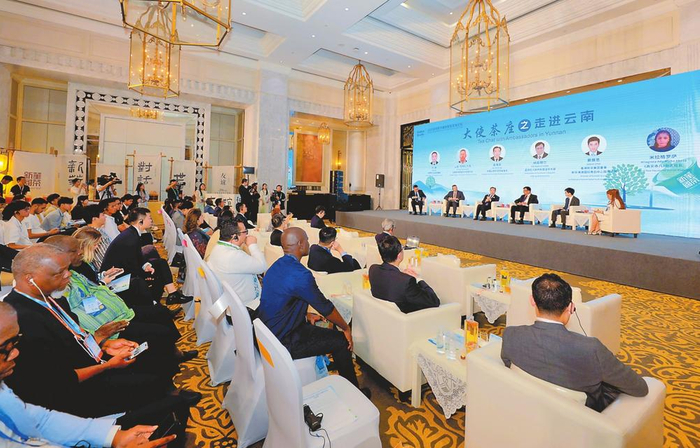 “大使茶座”走进云南暨全球南方国家青年对话现场。 记者 王毅 摄