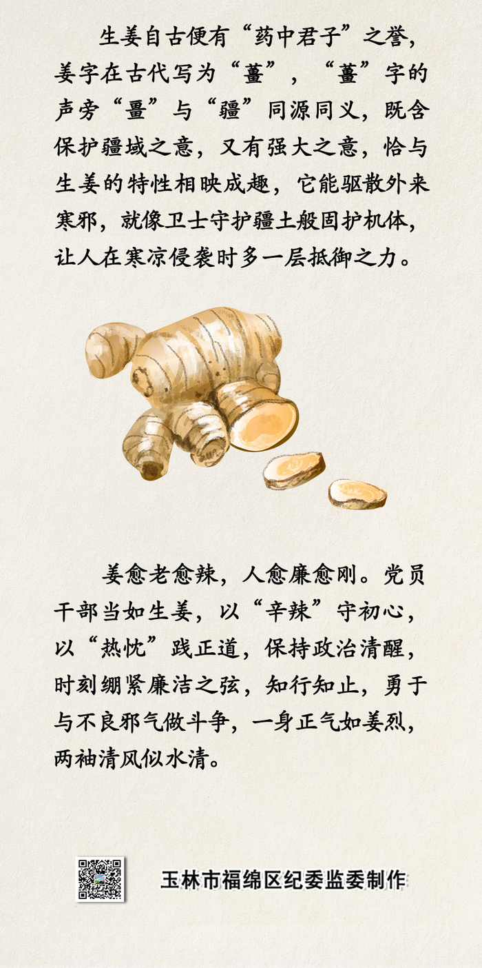 中药喻清廉丨生姜：姜烈祛邪 廉心守正