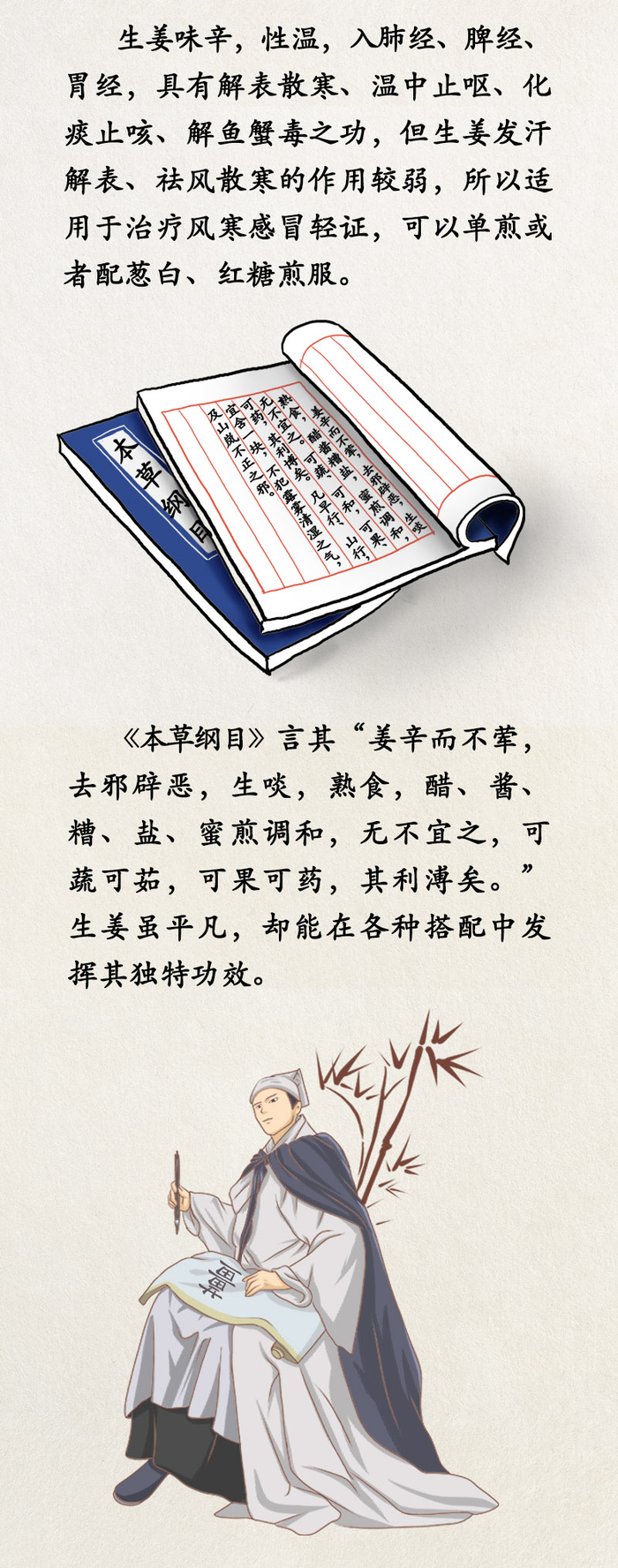 中药喻清廉丨生姜：姜烈祛邪 廉心守正