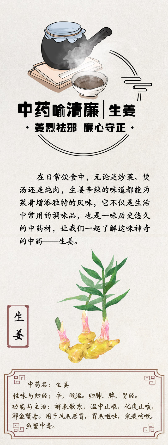 中药喻清廉丨生姜：姜烈祛邪 廉心守正