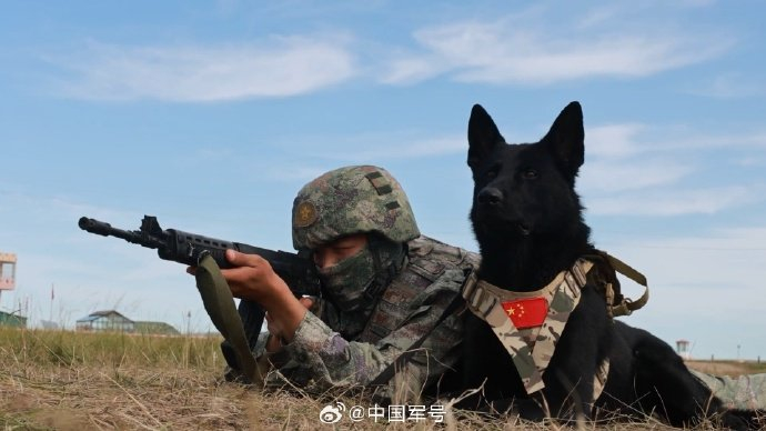 【责任编辑:王金志】