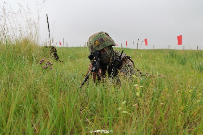 【责任编辑:王金志】