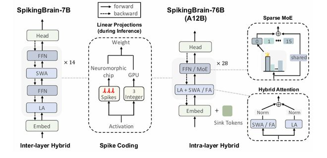 ▲SpikingBrain整体模型架构