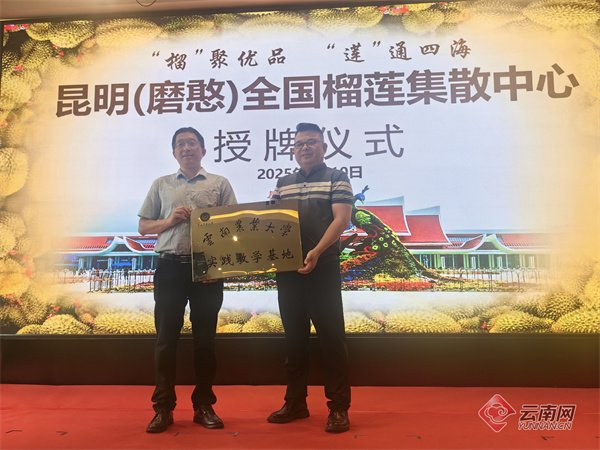 昆明（磨憨）全国榴莲集散中心正式运营