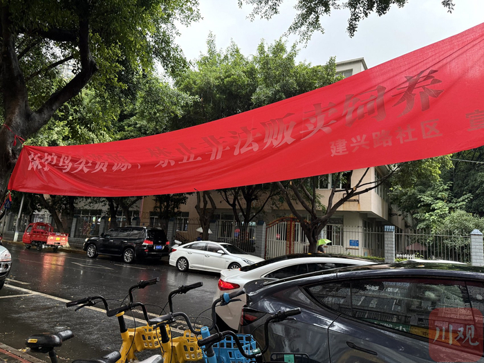 东篱花鸟市场悬挂的横幅。