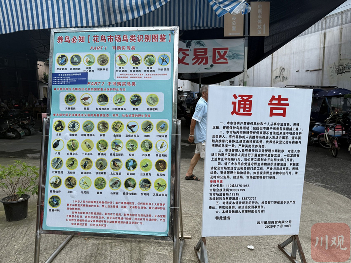 彭州花鸟市场醒目的通告。