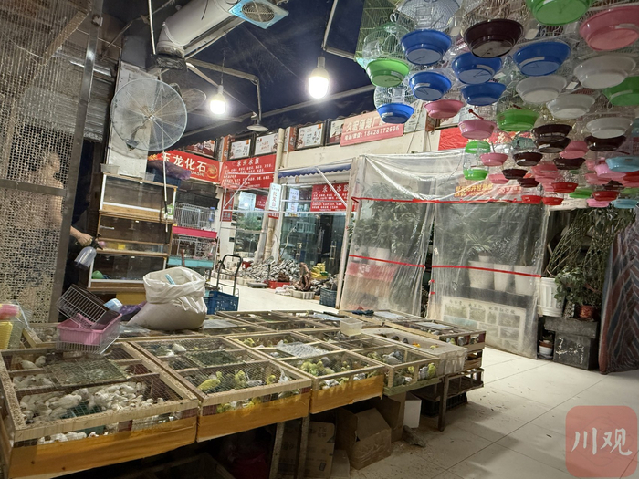 叠翠城花鸟市场。