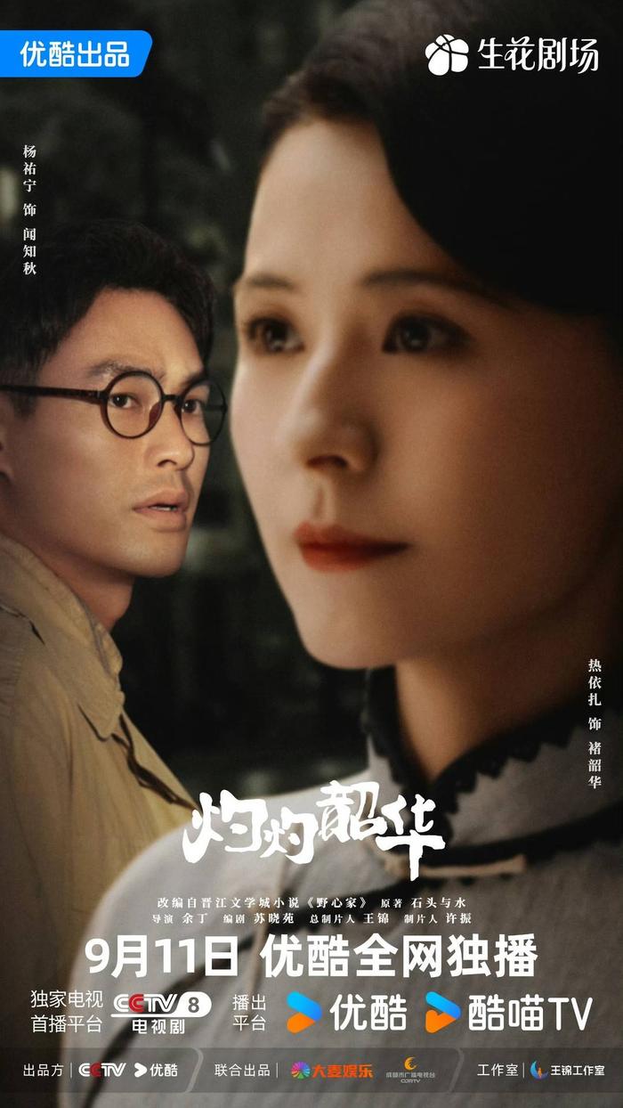 《灼灼韶华》