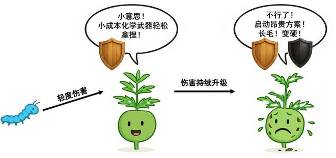 图3: 豚草的低成本优先防御策略