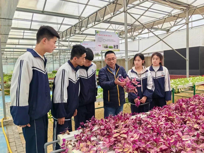 李珍为当地学生讲解药材知识。
