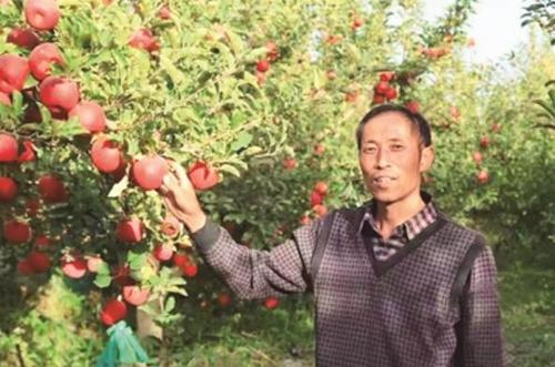 杜民超在果園里