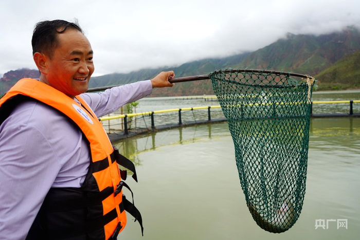 马海林捞出一条鱼查看长势（央广网记者  汪晓青  摄）
