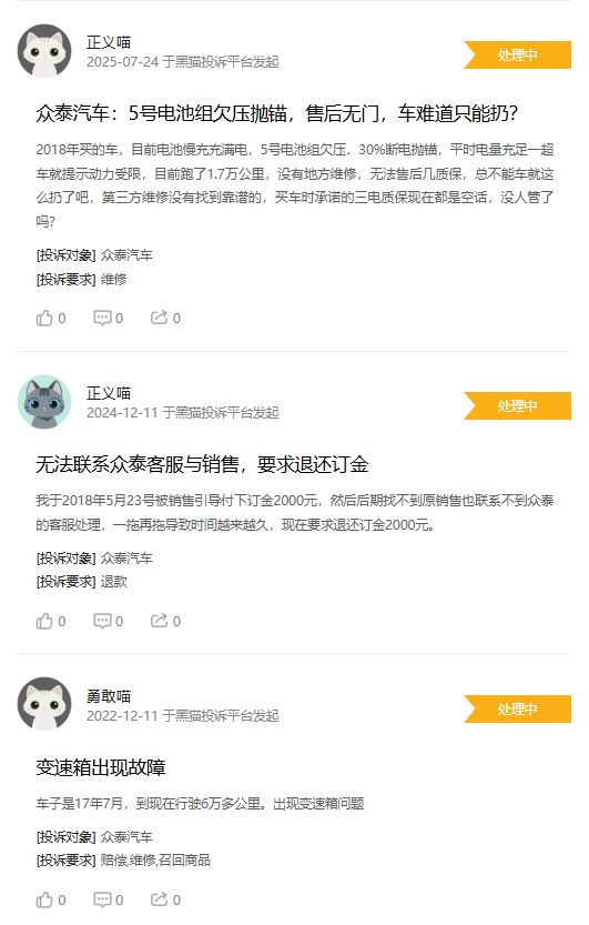众泰汽车面临的部分投诉 图片来源：黑猫投诉平台