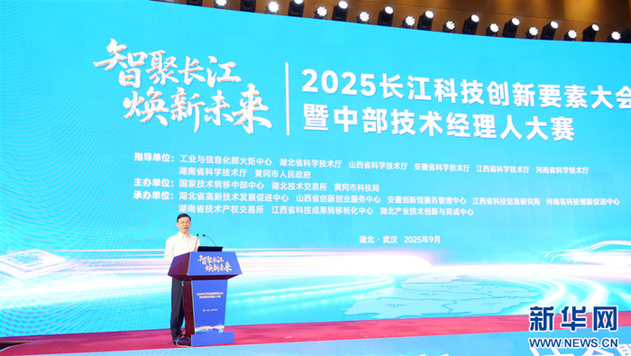 图为湖北省科技厅党组书记、厅长冯艳飞致辞。新华网 吴文华 摄