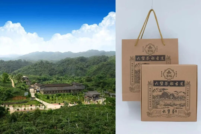 图片来源：梧州市农业农村局