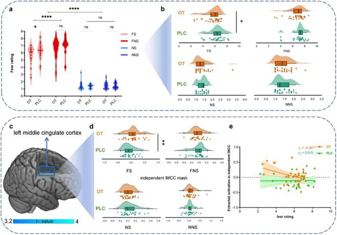 （来源：https://advanced.onlinelibrary.wiley.com/doi/10.100）
