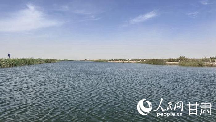 青土湖水域广阔。人民网记者 王绍绍摄