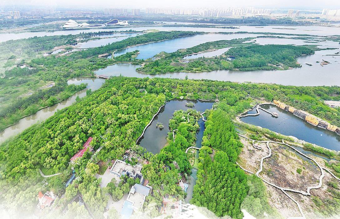 太阳岛外滩湿地全貌。本报资料片