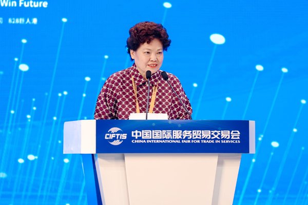中国国际经济合作学会会长高元元发言。主办方供图