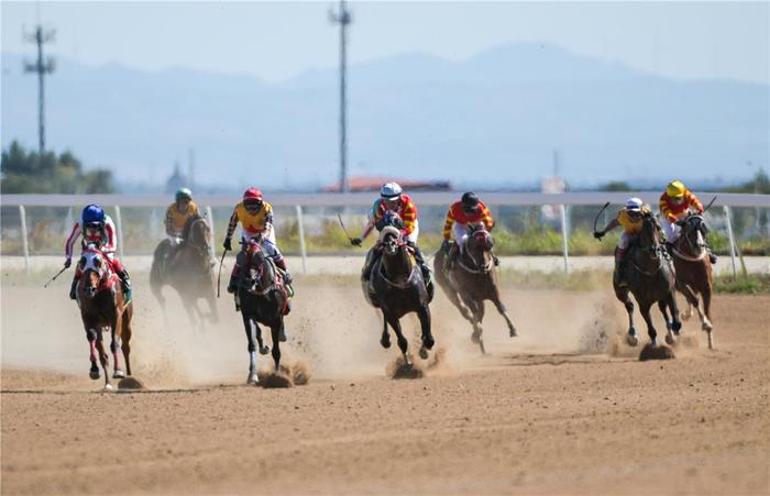 　选手参加纯血组三岁及以上1200米比赛。