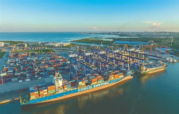 资料图：洋浦国际集装箱码头重型卡车来回穿梭，货运繁忙。海南日报记者 李天平 摄