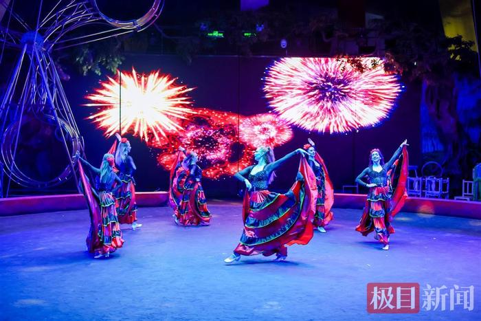 东湖国际大马戏演出现场