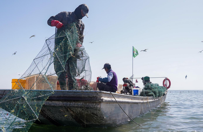 在大闸蟹的产地版图上，叮咚买菜不断刷新行业认知。叮咚买菜供图