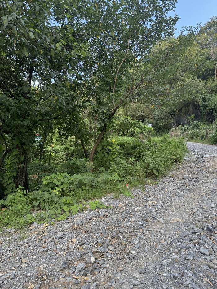 ▲石子山路