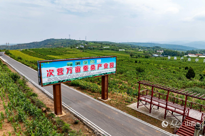 次营镇赛村蚕桑产业示范园。人民网 马梦迪摄