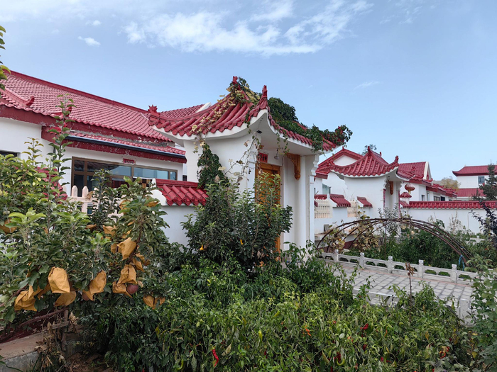 图为梨园村村民家庭院。中环报记者方琬夷摄